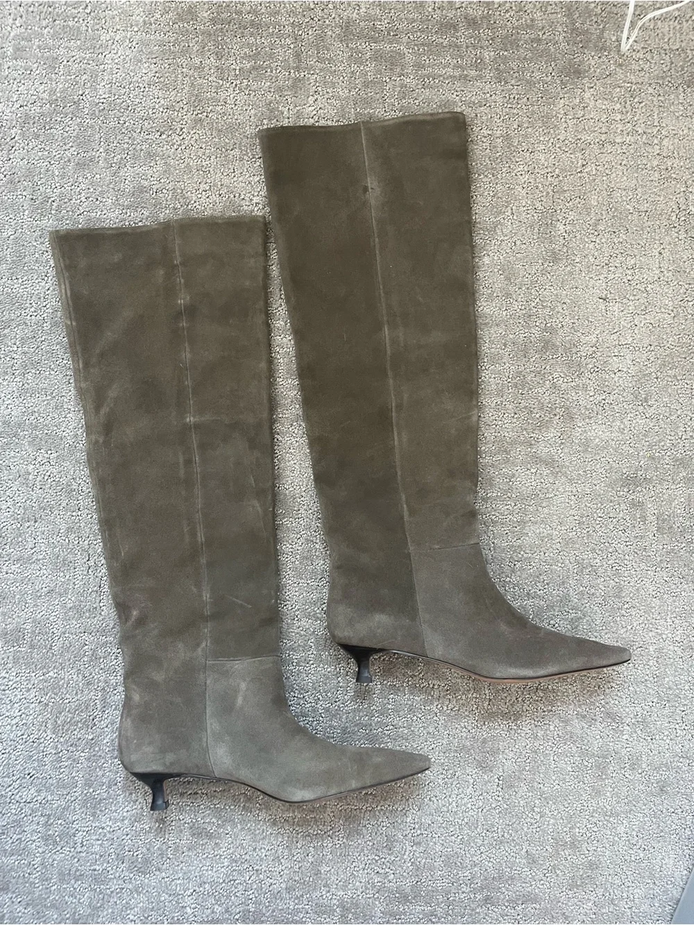 Aldo Suede Over-the-Knee Pointed-Toe Boots